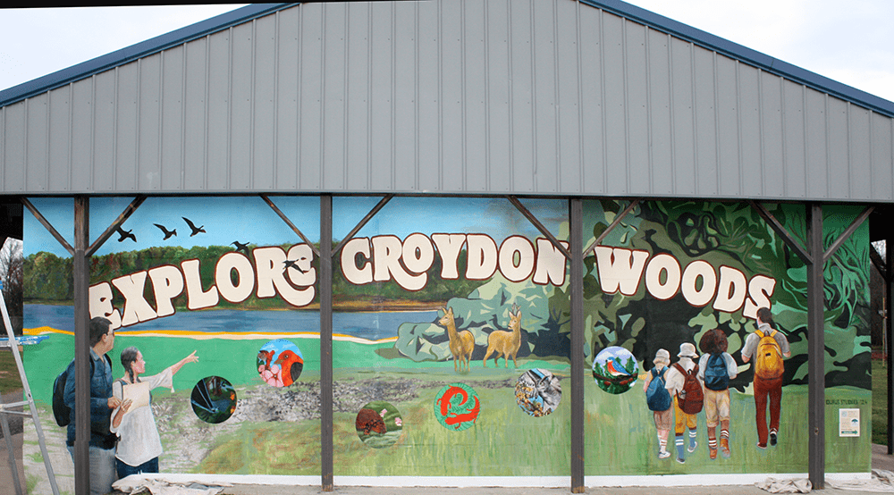 Croydon Woods Mural | Dubus Art Studio